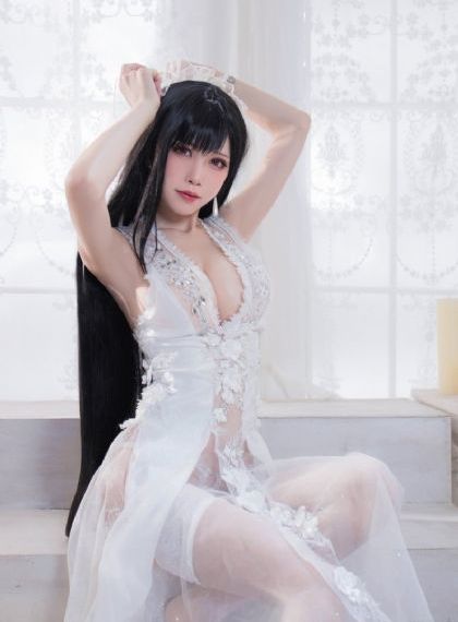 大明王朝1566电视剧